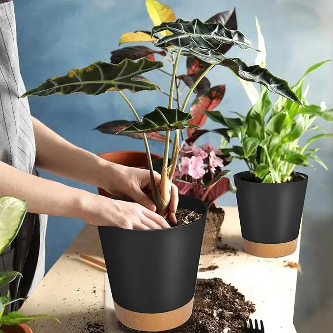 GARDIFE Plant Pots 7/6.5/6/5.5/5 Inch Self Watering Planters with Drainage Hole, Plastic Flower Pots, Nursery Planting Pot for All House Plants, African Violet, Flowers, and Cactus,Black by GreenHaven Gardens