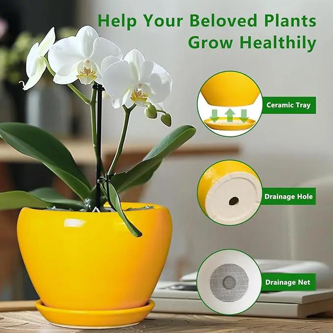Ceramic Pot for Plants - 6 Inch Plant Pot Glaze Modern Decorative Round Planter with Drainage Hole and Saucer for Home Patio Room Office House Decor, Yellow by GreenHaven Gardens
