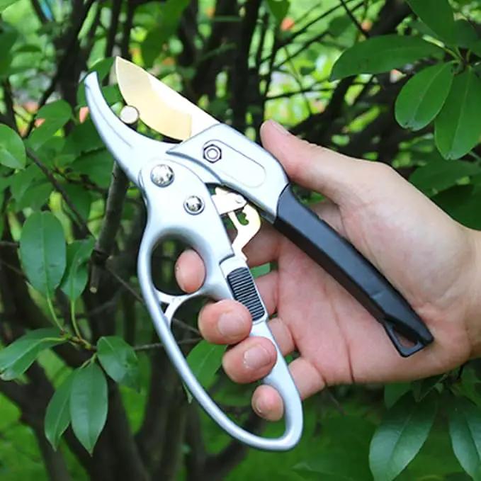 Titanium Garden Clippers, Premium Germany Pruners, Work 3 Times Easier, Professional Pruning Shears, Cutting Rose, Flower, Hedge, Stem, Sharp Gardening Scissors, Arthritis Weak Hand Snips by GreenHaven Gardens