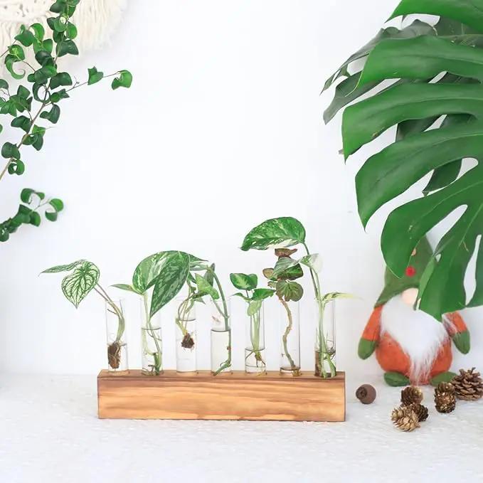 KAXYEW Plant Terrarium with Wooden Stand, Plant Propagation Tubes, 7 Test Tubes Glass Planter for Hydroponic Plant Cuttings Home Office Décor by GreenHaven Gardens