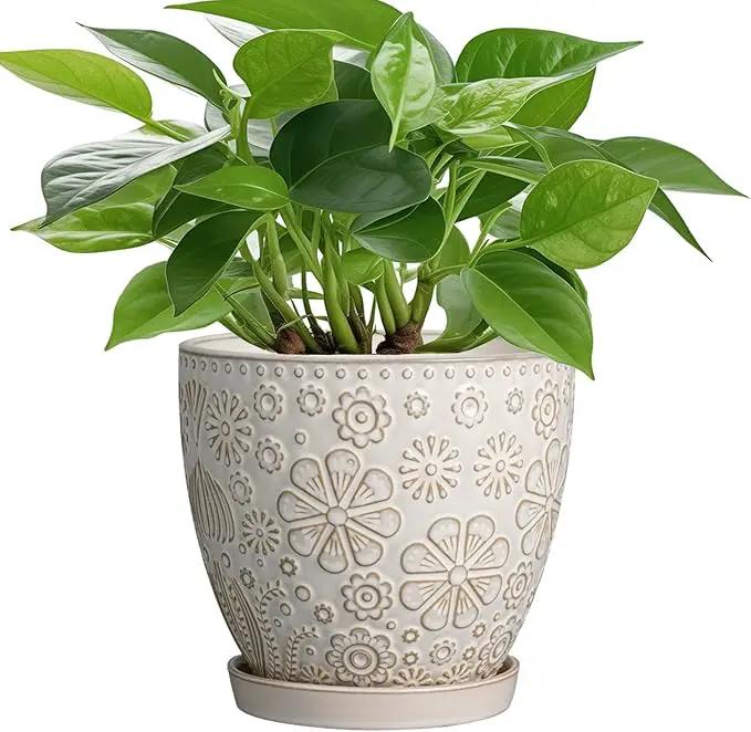 6.9 Inch Plant Pot with Drainage Hole and Saucer Ceramic Planter for Indoor Plant Flower Pot for Orchid Succulents Plants White by GreenHaven Gardens