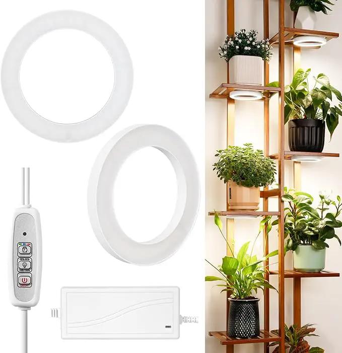 LORDEM 6.3” Ceiling Grow Light for Indoor Plants, 144 LEDs Full Spectrum Halo Grow Lamp, Under Cabinet Plant Lamp with 4/8/12H Auto Timer, 4 Dimmable Brightness Levels, Ideal for Pot Plants, Dual Head by GreenHaven Gardens