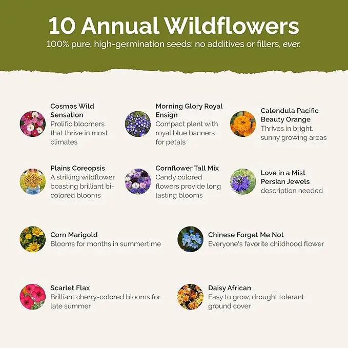 Eden Brothers Country Garden Flower Mixed Seeds for Planting, 1/4 lb, 120,000+ Seeds with Scarlet Flax, Cosmos Sensation | Attracts Pollinators, Plant in Spring or Fall, Zones 3, 4, 5, 6, 7, 8, 9, 10