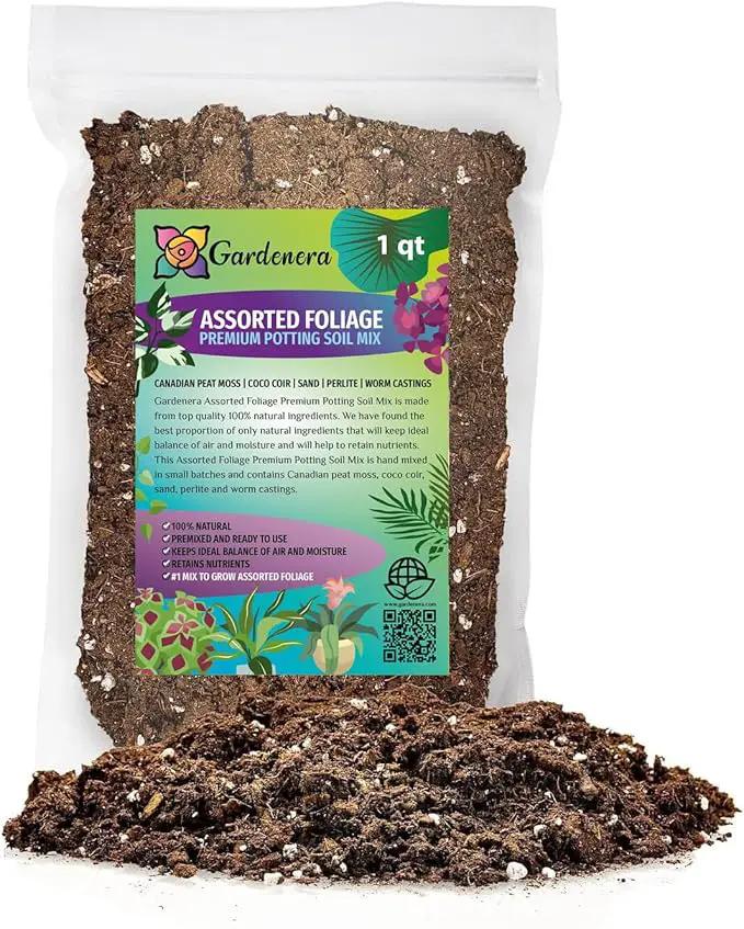 Premium Assorted Foliage Potting Mix - Expertly Crafted Blend for Optimal Growth and Vibrant Display - 1 Quart by GreenHaven Gardens