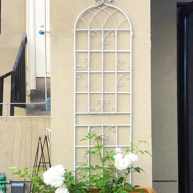 2 Pack Metal Garden Trellis 71" H Fence Rustproof Garden Trellis for Climbing Plants Support Roses Flower Outdoor Lawn, Cream White by GreenHaven Gardens
