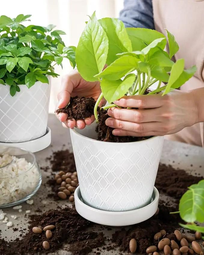 EFISPSS Flower Planter –5 inch Ceramic Plant Pots with Drainage Holes and Ceramic Tray - Gardening Home Desktop Office Windowsill Decoration Gift Set of 4 - Plants NOT Included (White) by GreenHaven Gardens