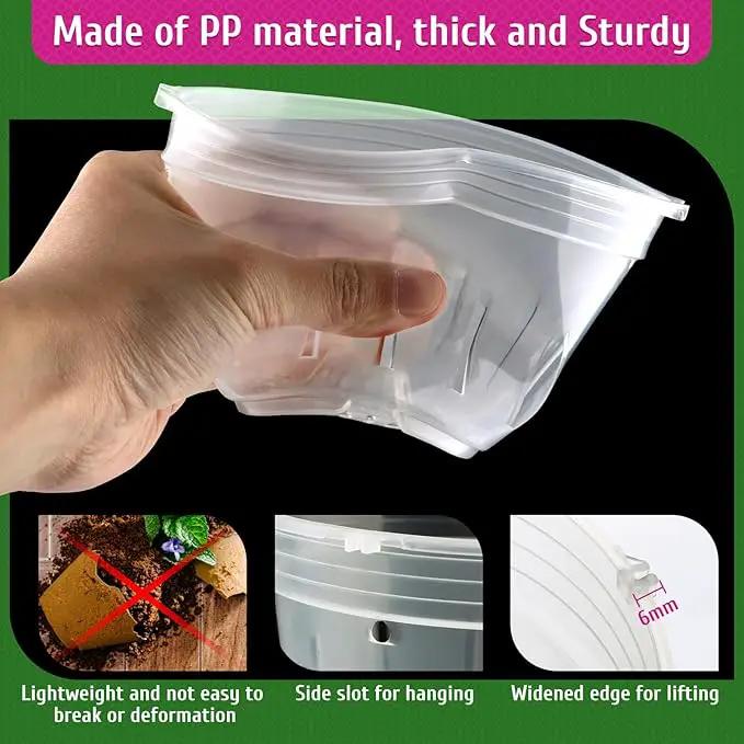 REMIAWY Orchid Pot - 6 Pack Clear Plastic Orchid Pots with Holes, Slotted Flower Planter for Indoor Outdoor Use, 3 Each of 4.1 and 4.8 Inch by GreenHaven Gardens