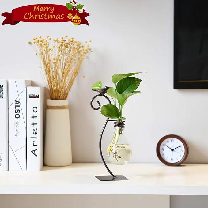Marbrasse Desktop Glass Planter Hydroponics Vase,Planter Bulb Vase with Holder for Home Decoration,Modern Creative Bird Plant Terrarium Stand, Scindapsus Container (Bulb Vase) by GreenHaven Gardens