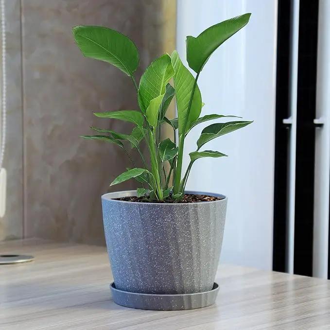 7 Inch Plant Pots Bulk, 6 Pack Plastic Planters with Drainage Holes and Saucers for Indoor Outdoor House Plants and Flowers, Grey by GreenHaven Gardens