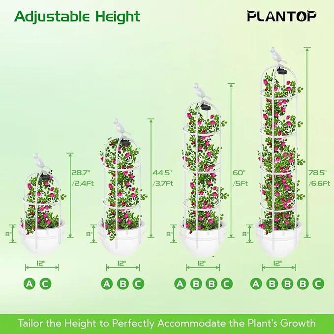 2 Pack Garden Obelisk Trellis with Solar Light, 6 Ft Trellis for Climbing Plants Outdoor Rose Bush Round Trellis for Pots, Rustproof PE Coated Metal Plant Support for Flowers Vine Indoor by GreenHaven Gardens
