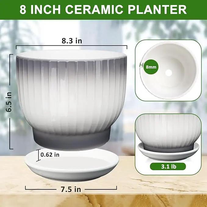 8 Inch Plant Pot, Ceramic Planter with Drainage and Saucer, Ceramic Pots for Plants, Indoor Plant pots,Ceramic Flower pots(Gray + White, Plants NOT Included) by GreenHaven Gardens