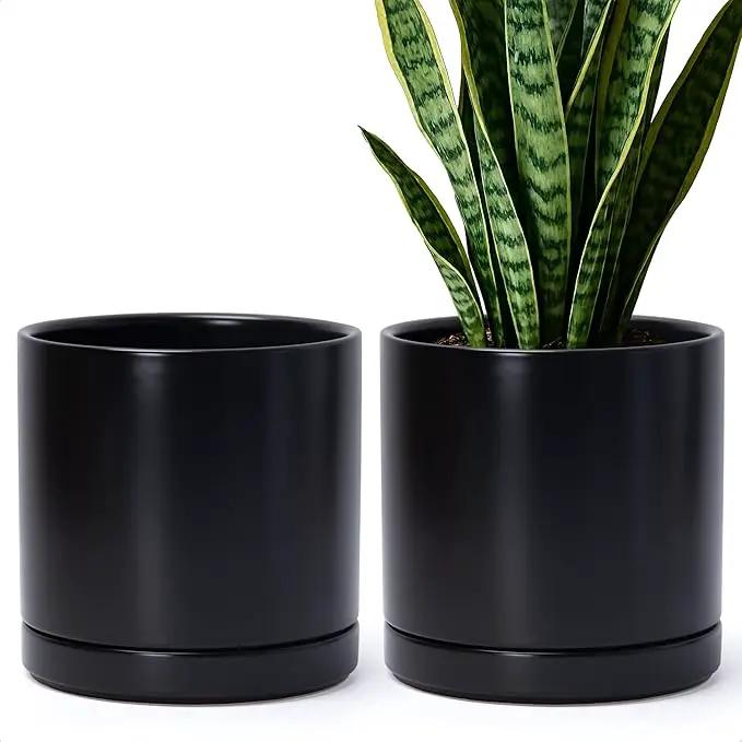 D'vine Dev Set of 2 Plants Pots, 8 Inch Ceramic Planter Pot for Plants with Drainage Hole and Saucer, Black, 94-V-D-2 by GreenHaven Gardens