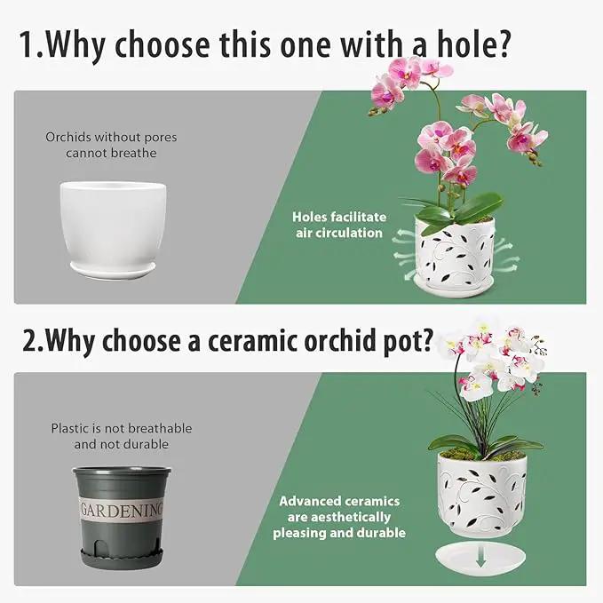 EFISPSS Orchid Pots with Holes, 7 Inch Orchid Pots with Drainage Holes and Tray, Indoor or Outdoor Ceramic Flower Pot for Orchid Care, Promoting Air Circulation and Drainage Plant Pot - White by GreenHaven Gardens