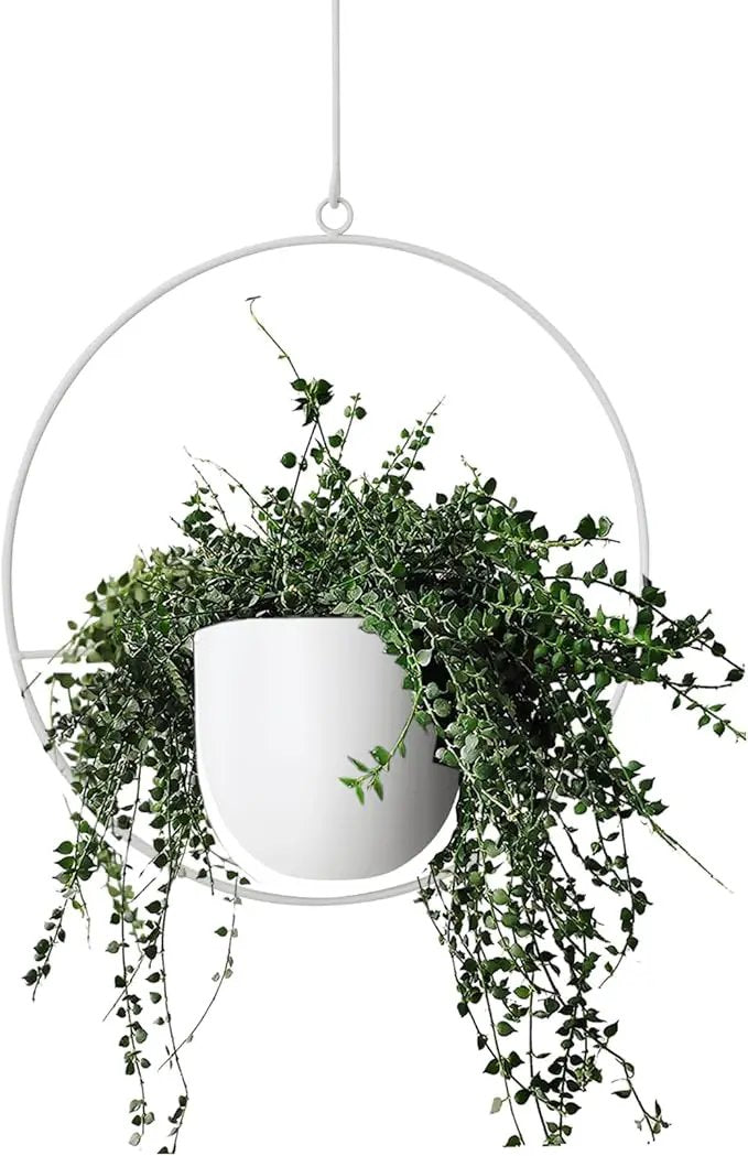 Hanging Planter Indoor Modern Boho Plant Pot Metal Wall and Ceiling Plant Holder Mid Century Minimalist Flower Pot for Hanging Plants, White by GreenHaven Gardens