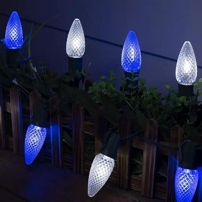 C9 LED Christmas Lights Outdoor with stakes, 25.7ft 20 LED Strawberry String Lights, Connectable Shatterproof Pathway Lights Marker for Path, Lane, Patio, Xmas Holiday Decorations, Blue and White by GreenHaven Gardens