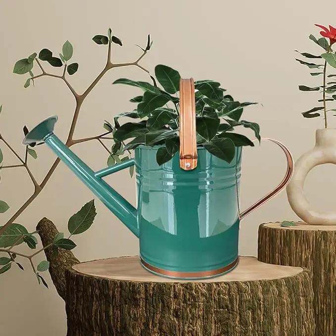 Metal Watering Can for Outdoor and Indoor Plants, Watering Can Decor, 1 Gallon (1 Gallon Green2) by GreenHaven Gardens