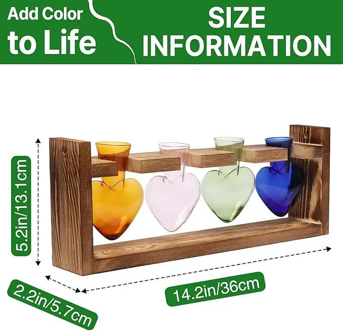 Plant Propagation Stations Heart Plant Terrarium Kit Gift for Women Plant Lover Glass Vases by GreenHaven Gardens