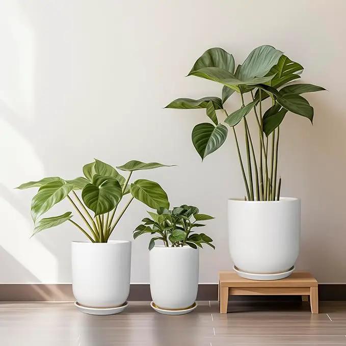 Pots for Plants - 10 Inch Ceramic Plant Pot with Drainage Hole and Saucer Large Planter for Plants Indoor Outdoor Modern Flower Pot for Home Decor White by GreenHaven Gardens