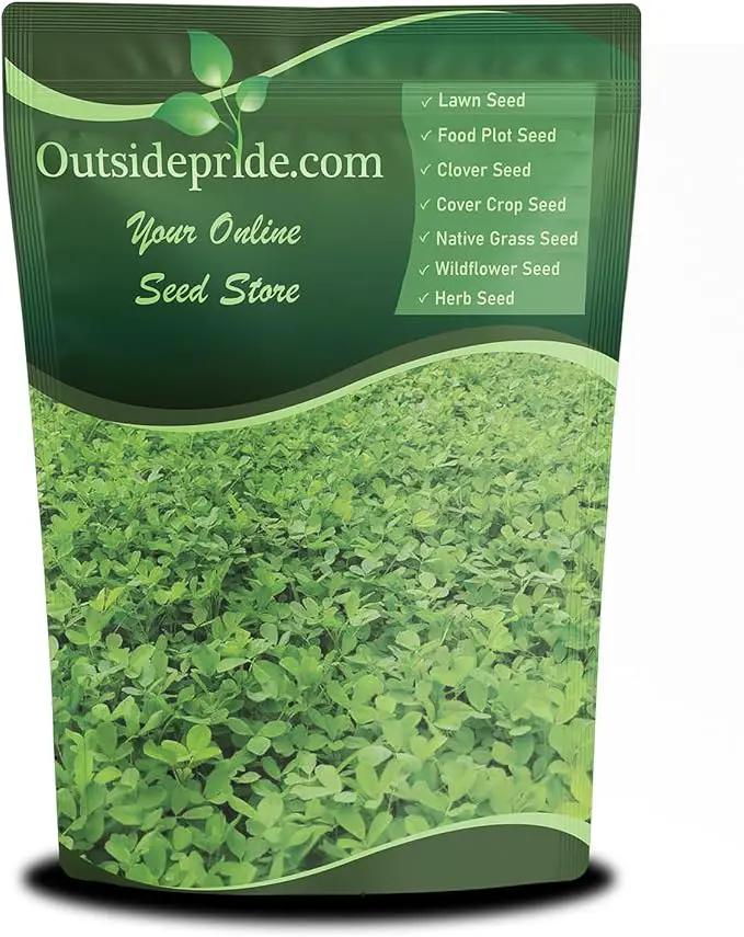 Outsidepride Annual Berseem Clover Seeds for Lawn - 50 lbs. High-Yield, Fast-Growing Clover Cover Crop Seeds for Food Plots, Cattle Forage & Nitrogen-Rich – Ideal for Pastures & Soil Improvement by GreenHaven Gardens