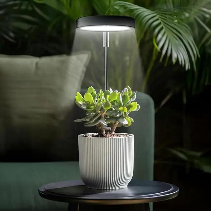 Grow Lights for Indoor Plants Small Potted - Full Spectrum, Auto 3/9/12H Timer, 10-Level Dimming & Adjustable Height - Compact Grow Light for Succulents, Herbs, Foliage in Home/Office (Black,1PACK) by GreenHaven Gardens