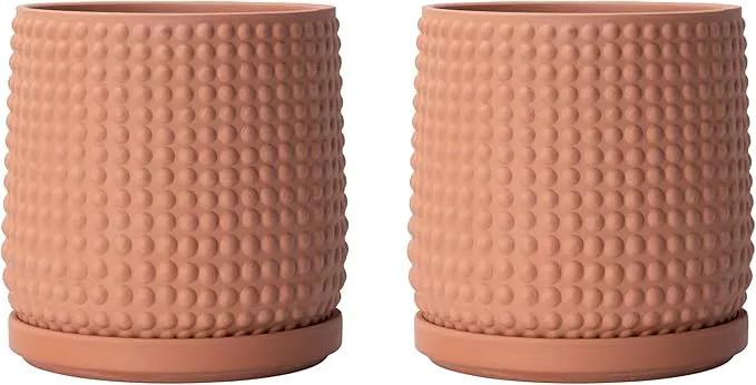 D'vine Dev Set of 2 Ceramic Plants Pots, 6 Inch Beaded Stoneware Flower Pot for Plants with Drainage Hole and Saucer, Terracotta, 27-E-X-7 by GreenHaven Gardens