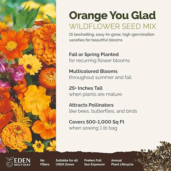 Eden Brothers Orange You Glad Flower Mixed Seeds for Planting, 1 lb, 480,000+ Seeds with Dahlia, Double Strawflower | Attracts Pollinators, Plant in Spring or Fall, Zones 3, 4, 5, 6, 7, 8, 9, 10 by GreenHaven Gardens