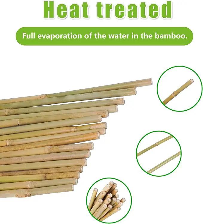 3ft Natural Bamboo Plant Stakes for Tomatoes, Beans, Flowers, Potted, Climbing Plants 25pcs by GreenHaven Gardens