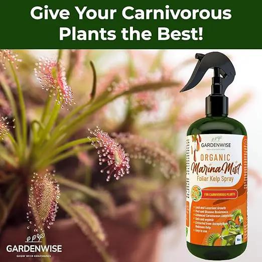 100% Organic Marina Mist Carnivorous Plant Food | Liquid Kelp Foliar Spray for Plants - Kelp Fertilizer for Venus Flytraps, Sundew, Butterworts, Pitcher Plants 8 Oz by GreenHaven Gardens