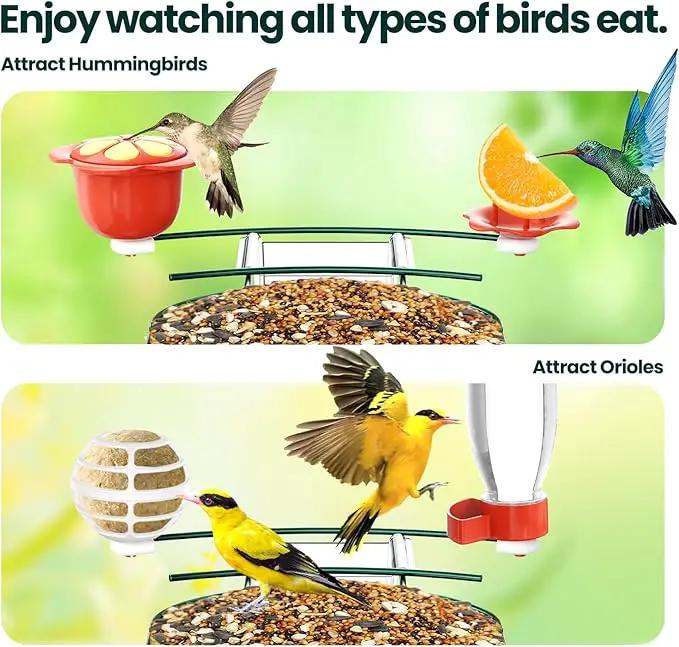 SOLIOM Solar Bird Feeder with Camera for Outdoors - AI Smart Birdhouse, 2K Live View & Instant Alerts, Squirrel Proof - Perfect Bird Watching Gift (Green) by GreenHaven Gardens