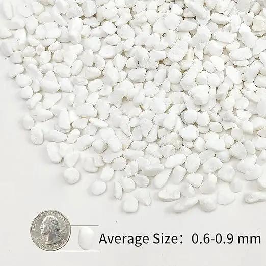 10lbs White Pebbles for Landscaping, 3/8inch Small Rocks for Succulent Cactus Planters, Natural Polished Pebbles, River Rocks for Plants, Vases, Garden by GreenHaven Gardens