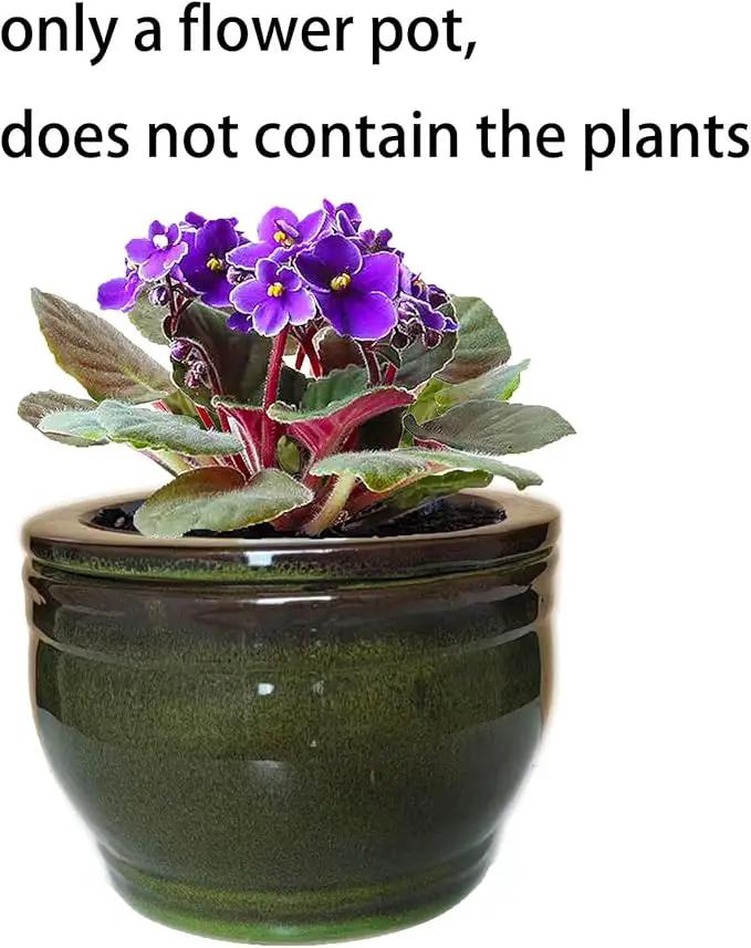 African Violet Pots Self Watering Round Ceramic Violet Pot (Olive drab, 6 inch) by GreenHaven Gardens