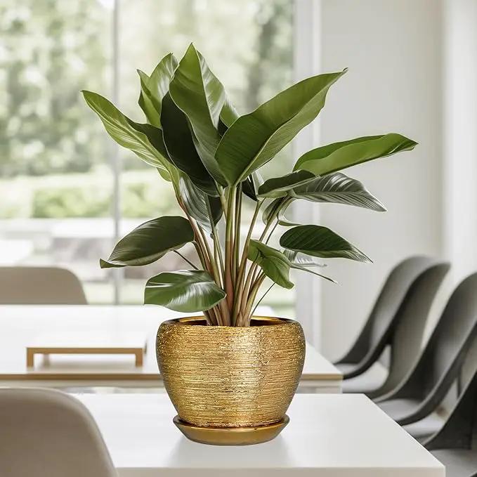 Indoor Plant Pot 6 Inch - Ceramic Pot for Plants Outdoor Planter with Drainage Hole and Saucer Round Decorative Planter Modern Flower Pot for Home Decor Gold by GreenHaven Gardens