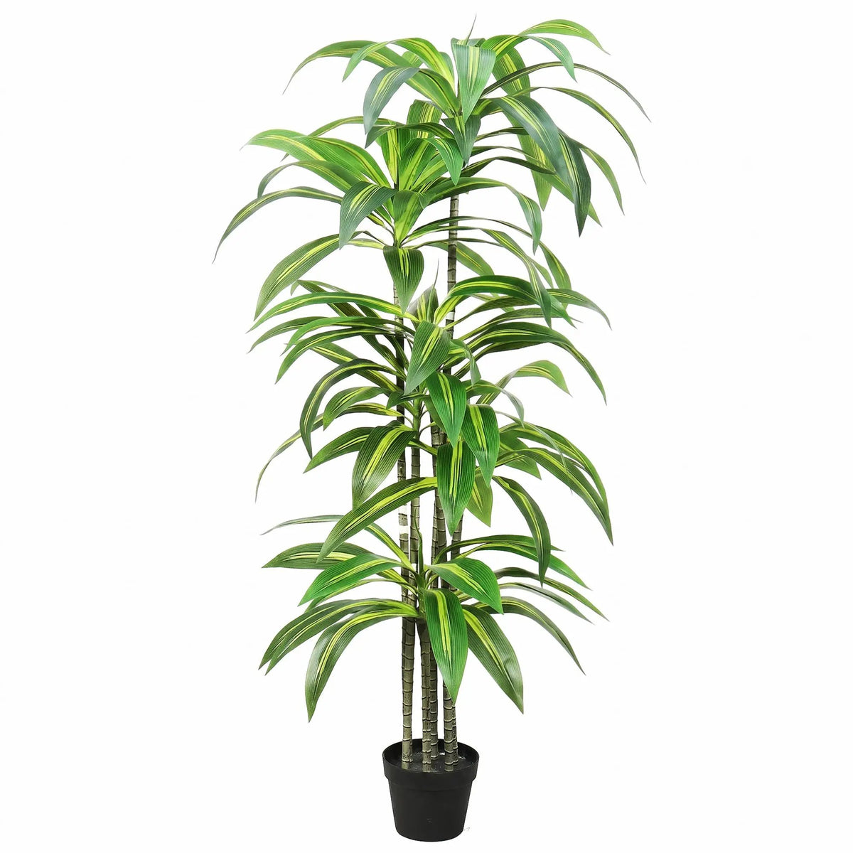Dracaena Artificial Plant Indoor - 5.5FT by HouseOfZazla