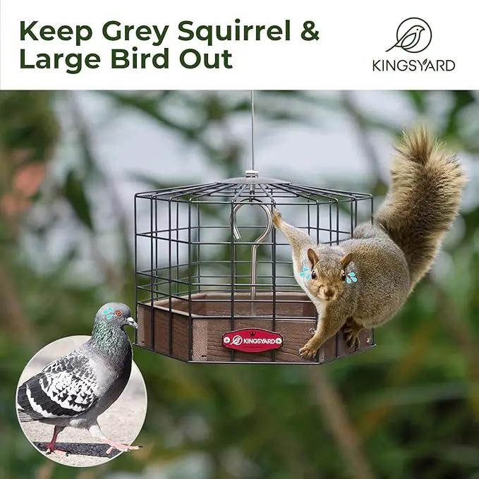Kingsyard Squirrel Proof Platform Bird Feeders for Outdoor Hanging, Caged Bird Feeder for Small Wildbirds Finches, Recycled Plastic Feeding Platform with Metal Seed Tray, Brown by GreenHaven Gardens
