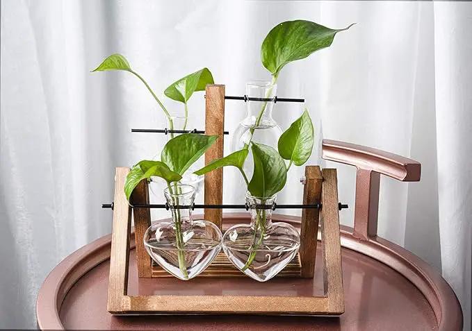 Kingbuy Glass Desktop Planter with Retro Wooden Stand and Plant Terrarium Vase (2 Hearts) for Indoor Home Office Desk Decor Accessories by GreenHaven Gardens