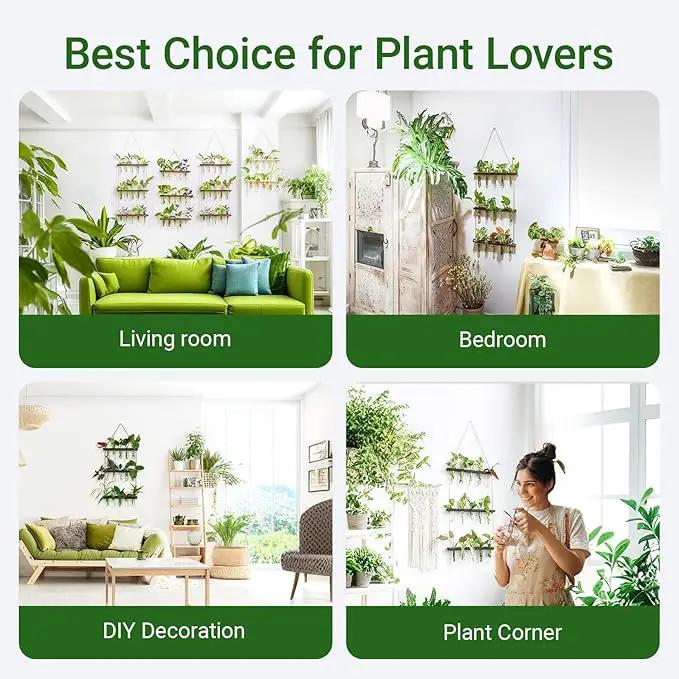Ivolador Hanging Plant Propagation Tubes,3 Tiered Wall Hanging Terrarium Flower Planter Vase for Hydroponic Plants Cutting Home Office Garden Decor Plant Lover Gift by GreenHaven Gardens