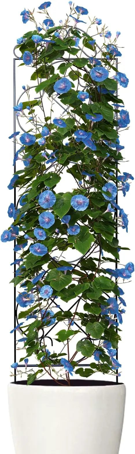Garden Trellis 4 Pack 48'' H x 12.5'' W Metal Plant Climbing Trellis Suitable for Potted Plants Indoor and Outdoor Climbing Plants Flower Ivy Clematis Black by GreenHaven Gardens