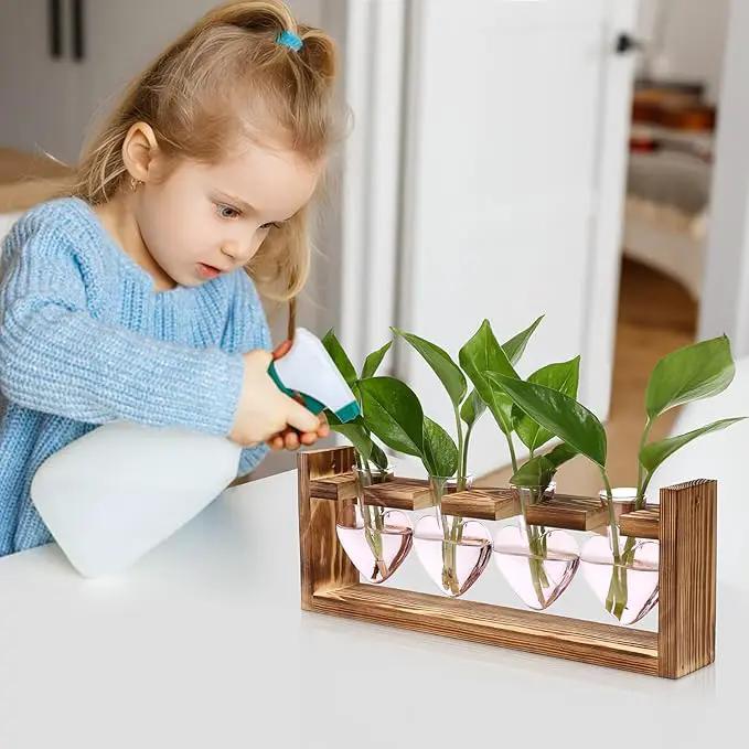 Plant Propagation Stations Heart Plant Terrarium Kit Gift for Women Plant Lover Glass Vases by GreenHaven Gardens
