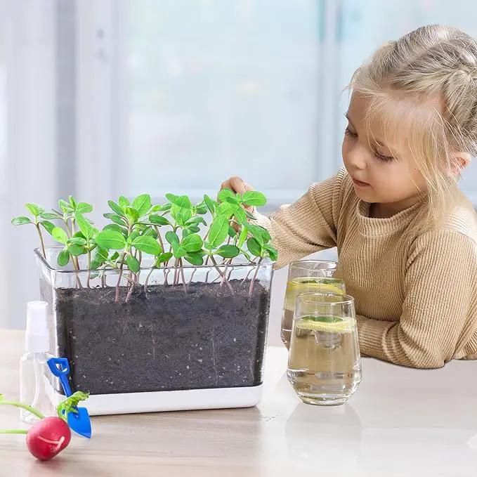 Self Watering Planter, 2 Pack African Violet Pots, Rectangular Self-Watering Clear Planters Box for Devil's Ivy, Spider Plants, Orchid. Flower Planting and Small Vegetables for Home Office by GreenHaven Gardens