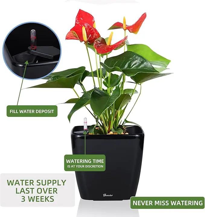 Dexceder 9x8 Self Watering Planter Indoor Outdoor, Inner Mat Design, Thickened Table Flower Plant Pot with Water Level Indicator (Black High Gloss) by GreenHaven Gardens