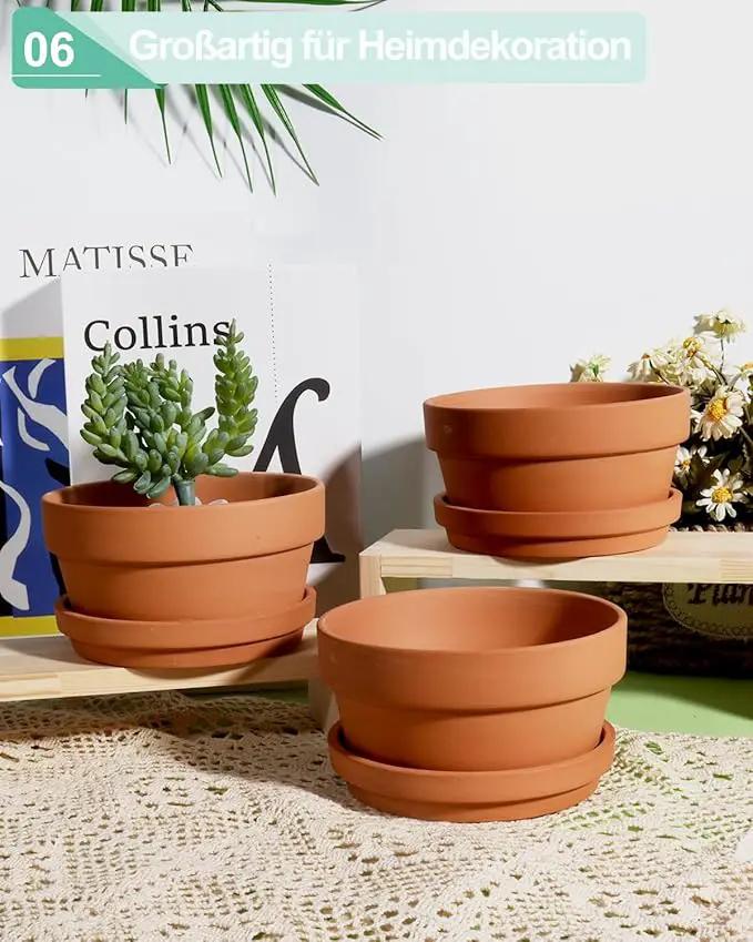vensovo 5.7 Inch Terracotta Shallow Succulent Pot - 6 Pack Terra Cotta Clay Pots with Saucer, Cacuts Terra-Cotta Indoor and Outdoor Planters with Drainage Hole by GreenHaven Gardens