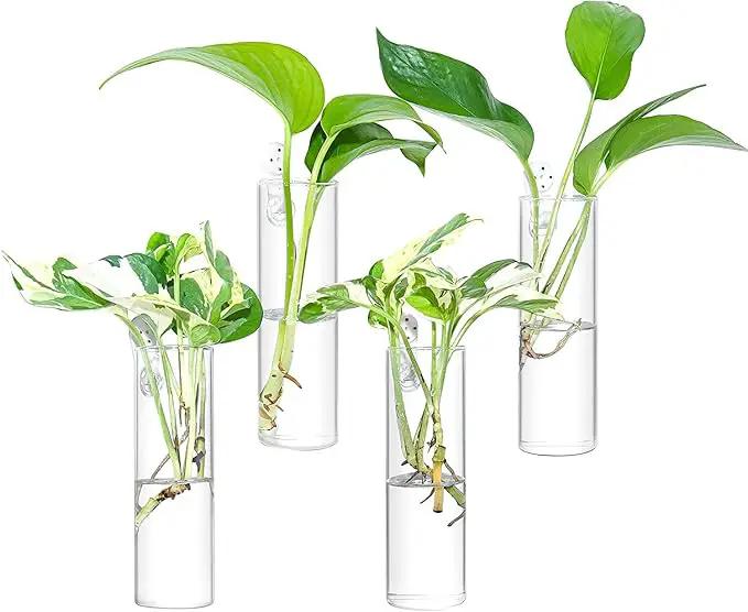 Ivolador Wall Plant Propagation Station Hanging Glass Planter Vase Terrarium Container Cylinder Shape Perfect for Propagating Hydroponic Plants Home Office Garden Decor Wedding-4PCS by GreenHaven Gardens