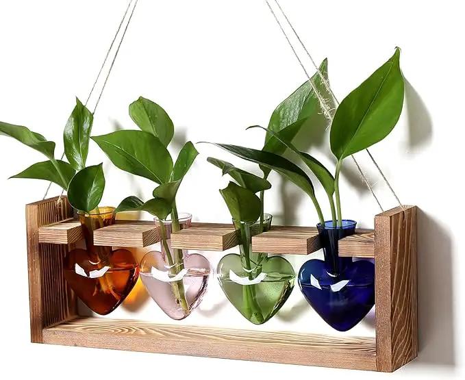 Plant Propagation Stations Heart Plant Terrarium Kit Gift for Women Plant Lover Glass Vases by GreenHaven Gardens
