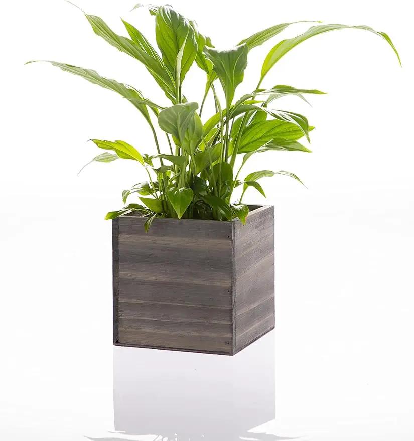 Wooden Planter Box, Rustic Barn Wood with Plastic Liner l Garden Decor l Restaurant and Wedding Decorations l Wedding Bouquets, Table Centerpiece (5x5 Set of 4, Natural) by GreenHaven Gardens