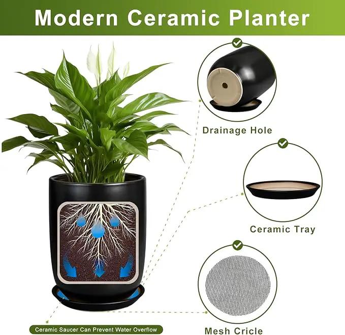 Ceramic Planter 10 Inch - Ceramic Pot for Indoor Plants Outdoor Plant Pot with Drainage Hole and Saucer Cylinder Flower Pot Black by GreenHaven Gardens