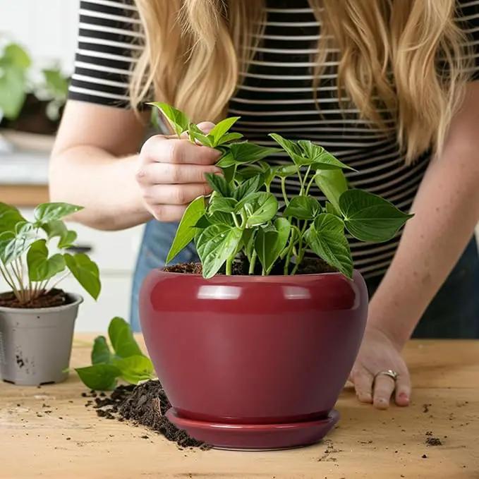 Ceramic Pot for Plants - 6 Inch Plant Pot Indoor with Drainage Hole and Saucer Succulent Pot Outdoor Planter Round Flower Pot for House Patio Decor Red by GreenHaven Gardens