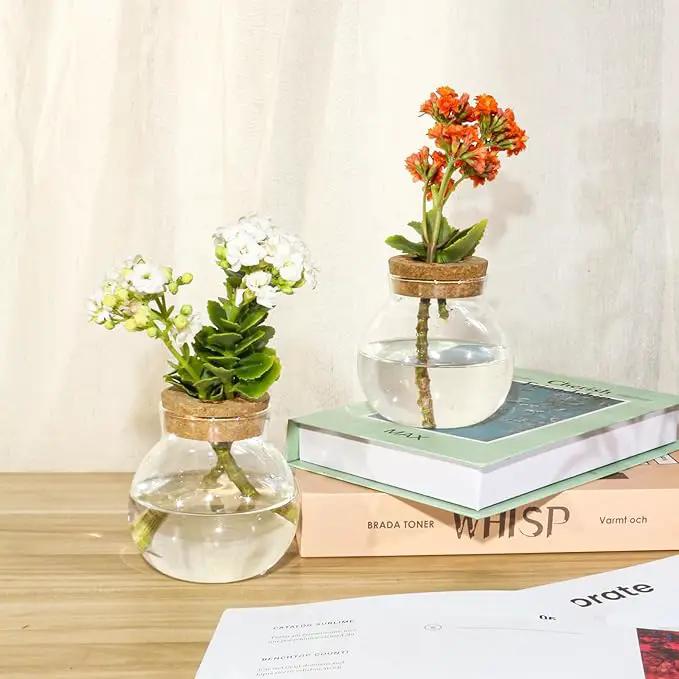 Plant Propagation Station,Hydroponic Terrarium Vase,Desktop Glass Planter Station,for Houses,Garden Decorations,ropagating Hydroponic Plants,Centerpiece Office,Home Garden Decor (9) by GreenHaven Gardens