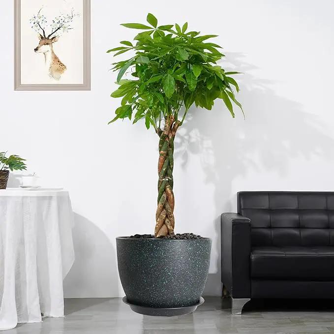 12/10/9 Large Modern Plant Pots, Plastic Planters with Drainage Holes and Saucers for Indoor Outdoor Plants Flowers, Black with Green Speckles by GreenHaven Gardens