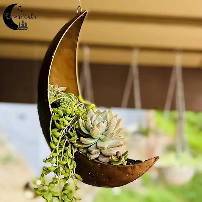 Hanging Moon Planter - Moms Day Gifts for Women - Moon Room Decor - Unique Planters for Succulents,Air Plant, Cactus, Artificial Plants- Plant Lover Gifts - Boho,Hippie, Witchy, Birthdays Gifts by GreenHaven Gardens