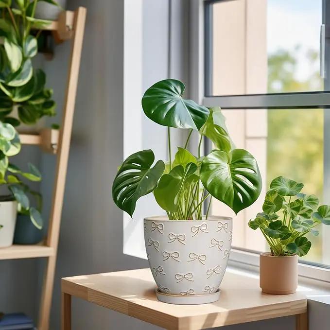 Ceramic Plant Pot 6.9 Inch - Ceramic Planter with Drainage Hole and Saucer Round Planter Flower Pot for Indoor Plants Outdoor Home Garden Office Decor White by GreenHaven Gardens